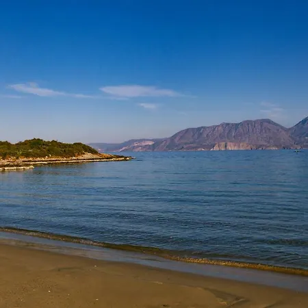 Hébergement de vacances Amphitrite Beach House *